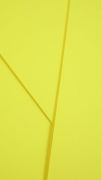 Papel Neon Plus A4 180g - Amarelo com 50 folhas